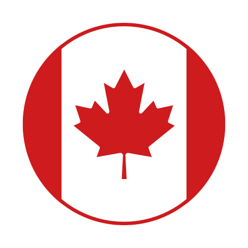 US flag icon